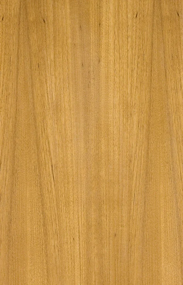 green-natural-teak-veneer-ply-1000x1000